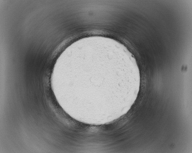 X0000114000111200911131149