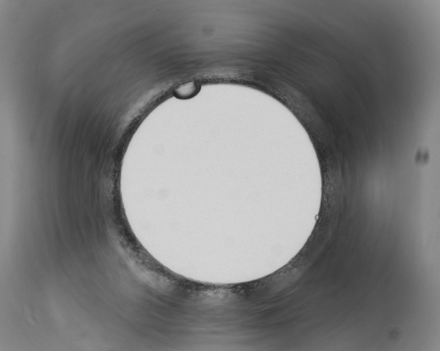 X0000114000112200911131149