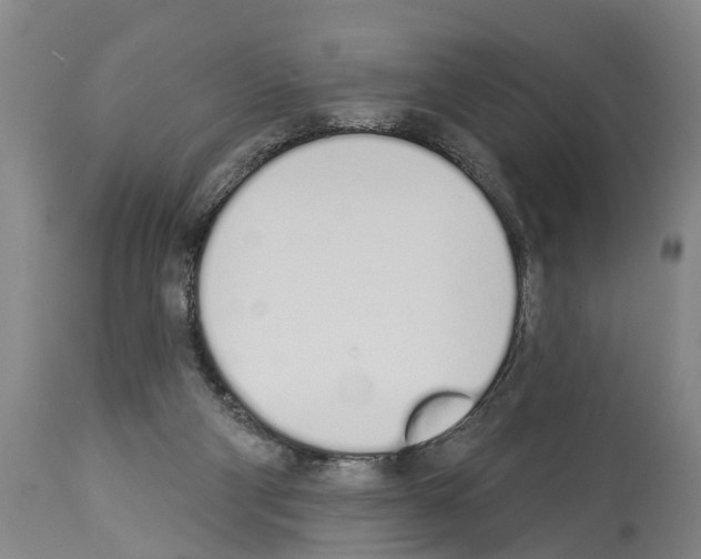 X0000114000114200911131149