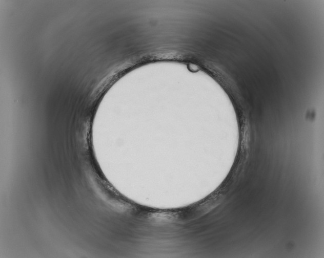 X0000114000115200911131149