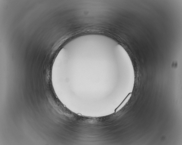X0000114000116200911131149