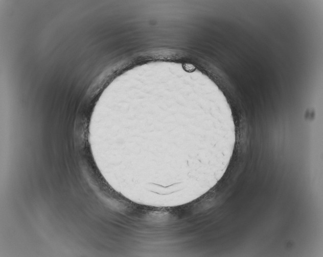 X0000114000119200911131149