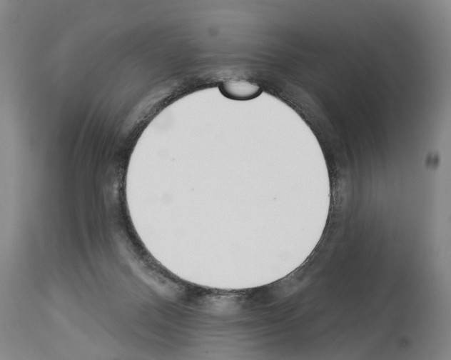 X0000114000120200911131149