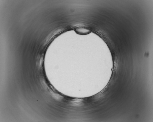 X0000114000124200911131149