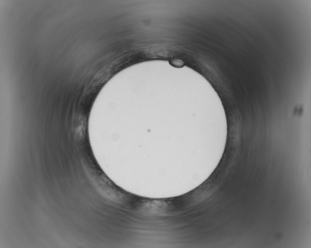 X0000114000125200911131149