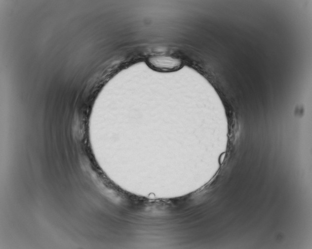 X0000114000128200911131149