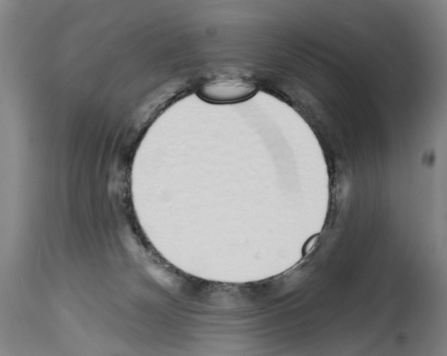 X0000114000132200911131149