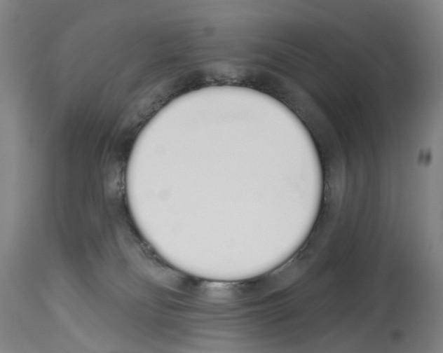 X0000114000134200911131149