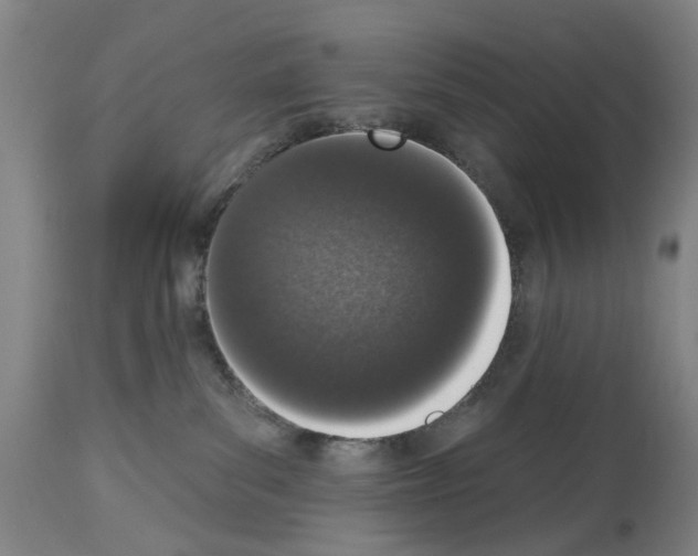 X0000114000139200911131149