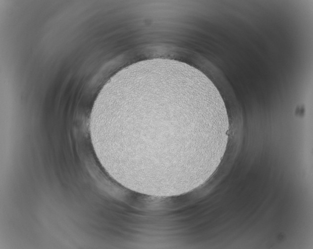 X0000114000142200911131149