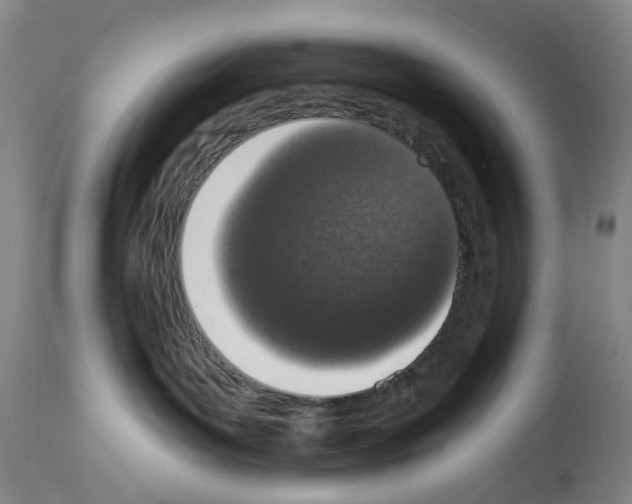 X0000114000143200911131149