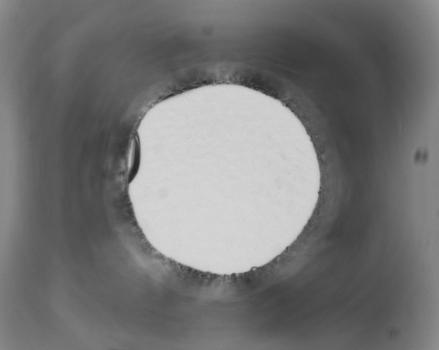 X0000114000144200911131149