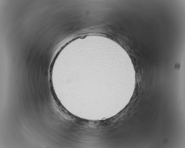 X0000114000148200911131148