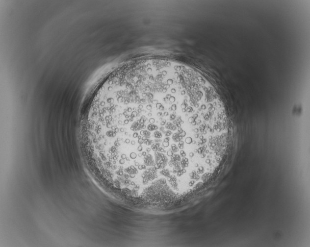 X0000114000149200911131148