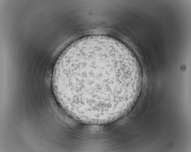 X0000114000153200911131148