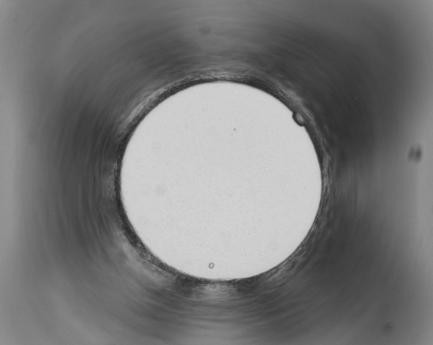 X0000114000154200911131148