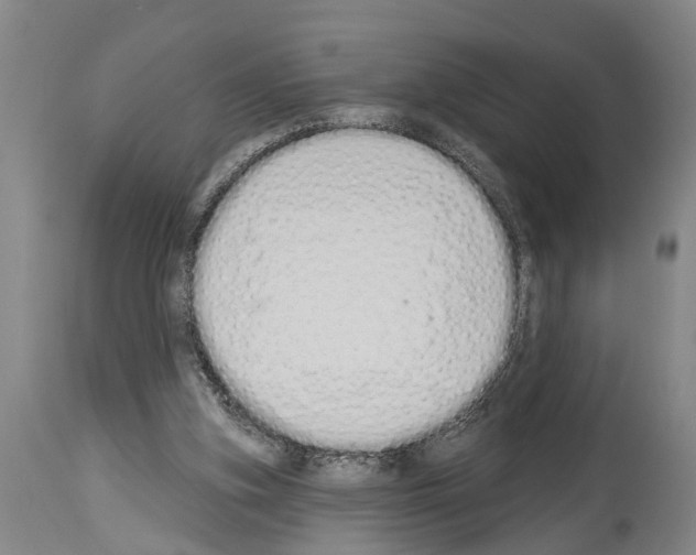 X0000114000155200911131148