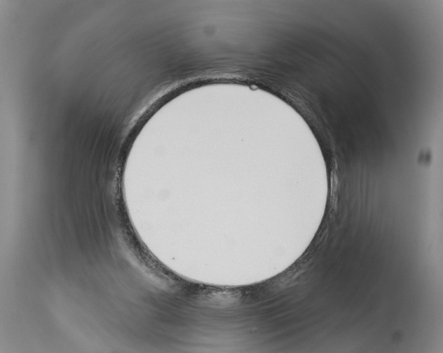 X0000114000156200911131149