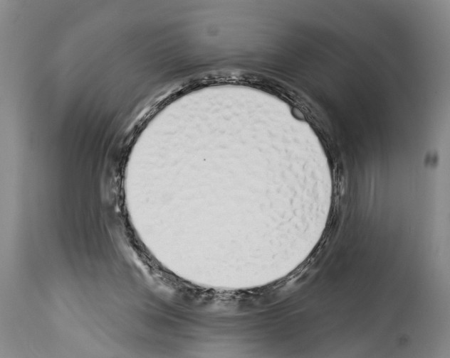 X0000114000158200911131149