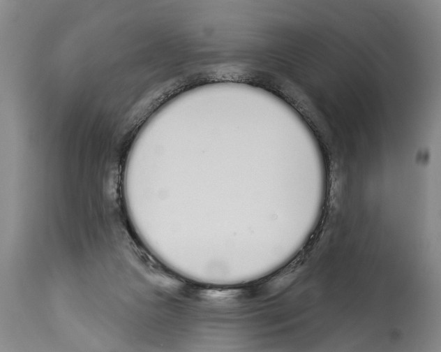 X0000114000161200911131149
