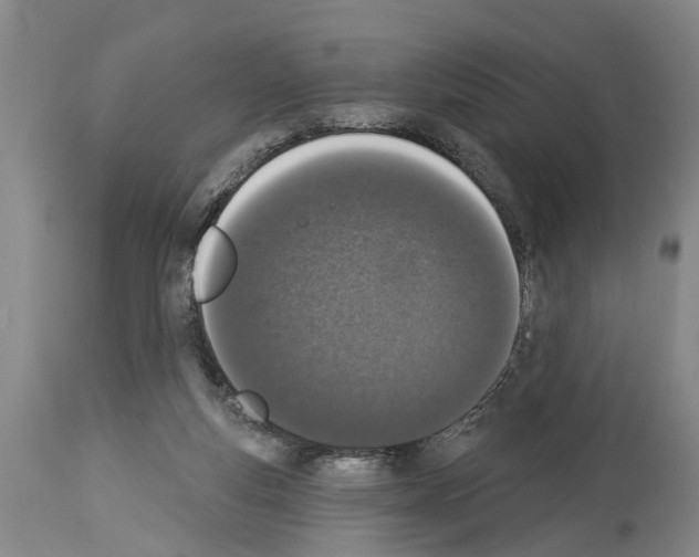 X0000114000163200911131149