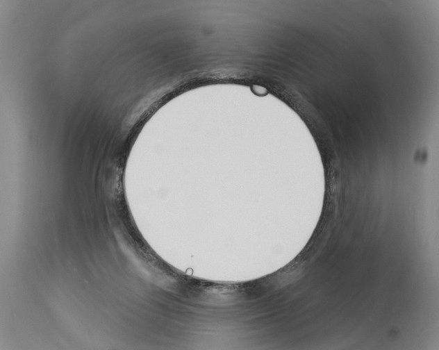 X0000114000164200911131149