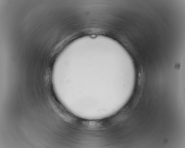 X0000114000165200911131149