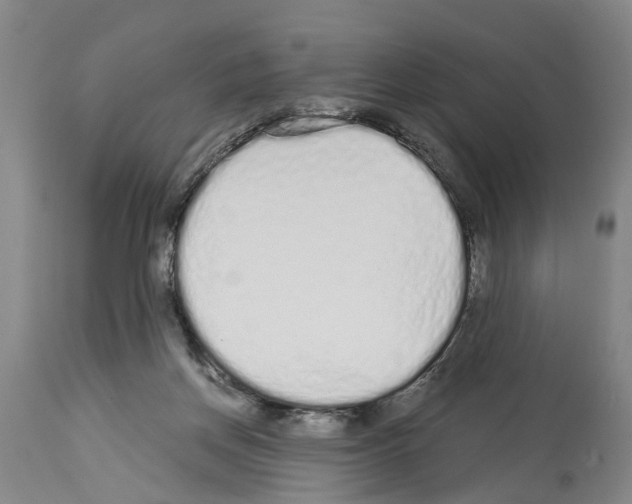 X0000114000166200911131149
