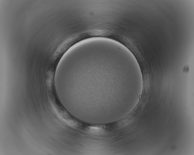X0000114000167200911131149