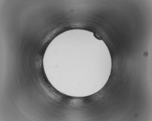 X0000114000168200911131149