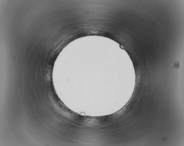 X0000114000174200911131149