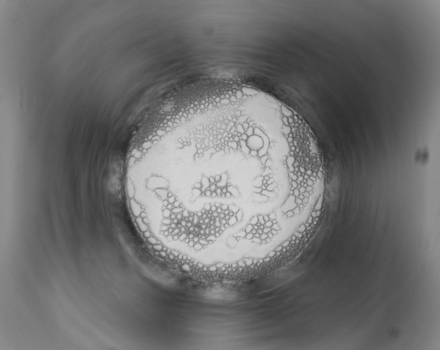 X0000114000175200911131149