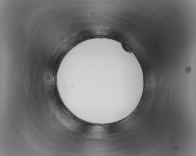 X0000114000176200911131149