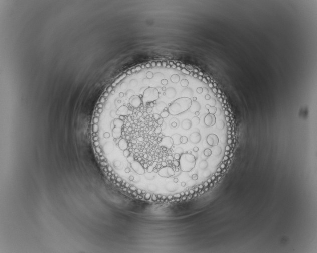 X0000114000178200911131149