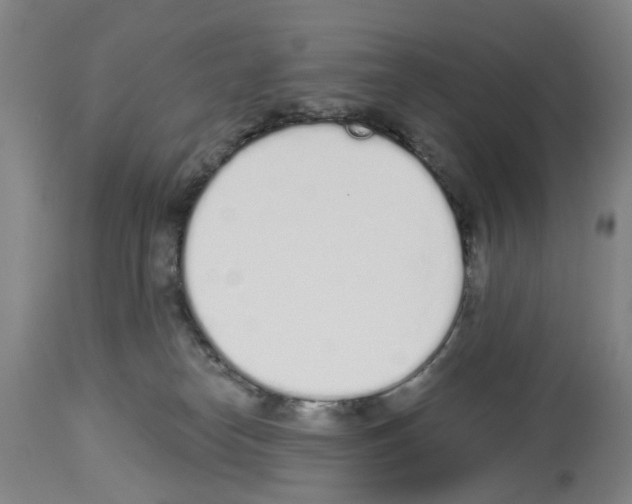 X0000114000182200911131149