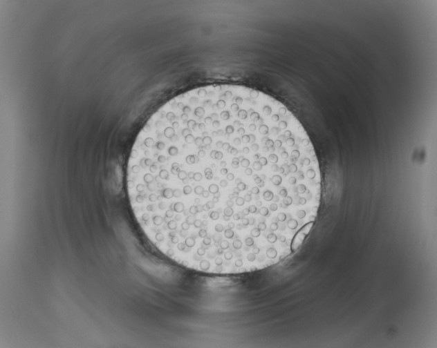 X0000114000183200911131149
