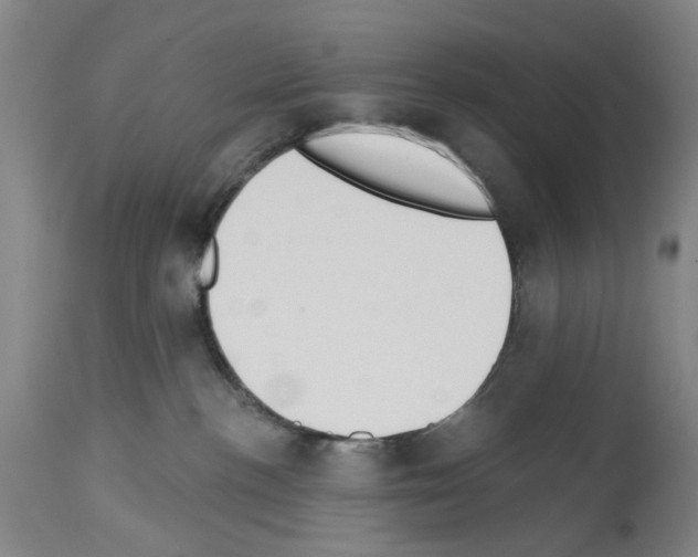 X0000114000188200911131149