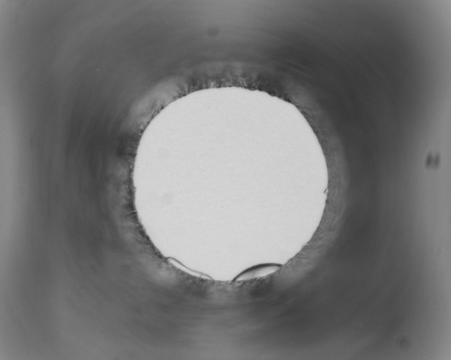 X0000114000192200911131149
