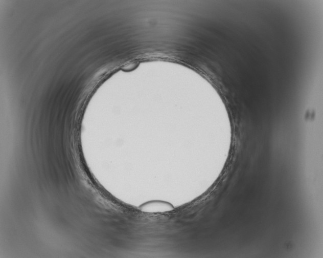 X0000114000193200911131148