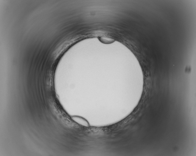 X0000114000194200911131148