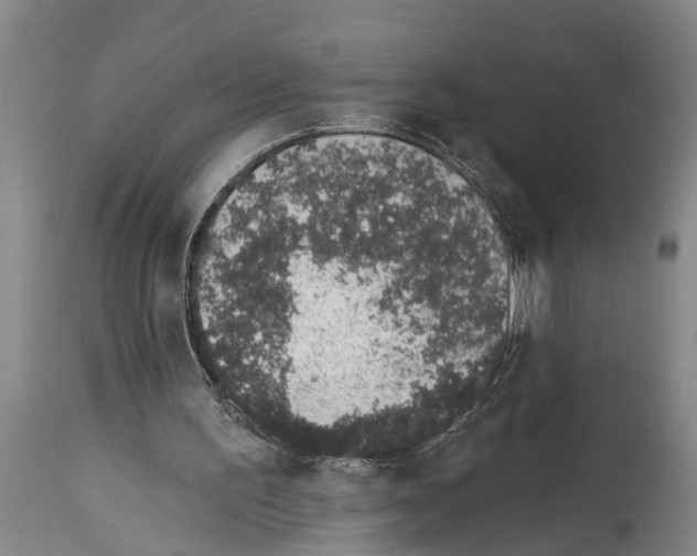 X0000114000195200911131148