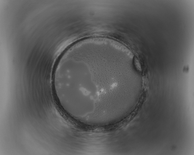X0000114000196200911131148