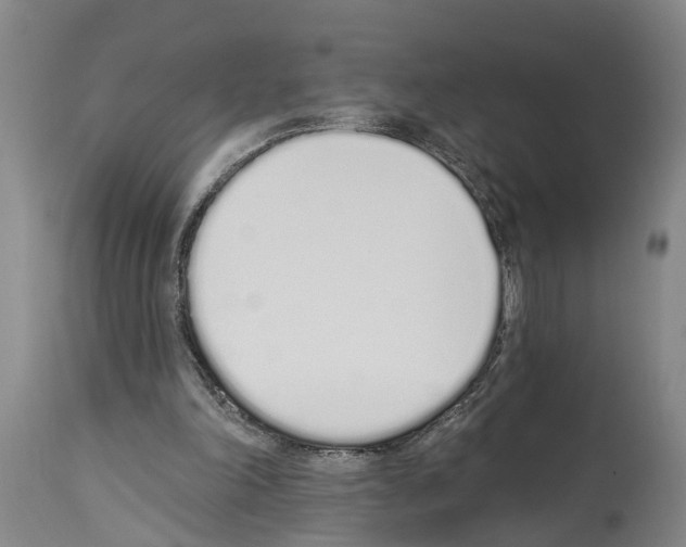 X0000114000198200911131148