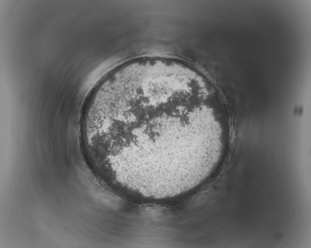 X0000114000199200911131148