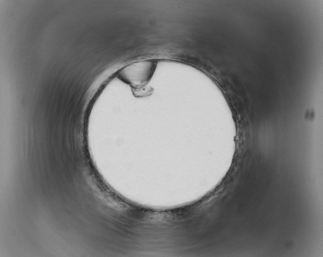 X0000114000200200911131148