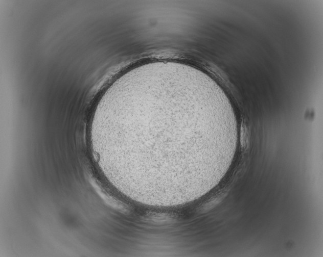 X0000114000205200911131148