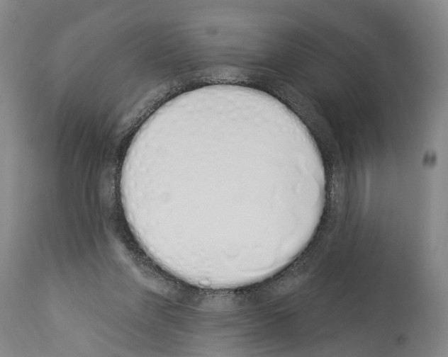 X0000114000206200911131148