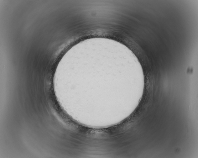 X0000114000208200911131148