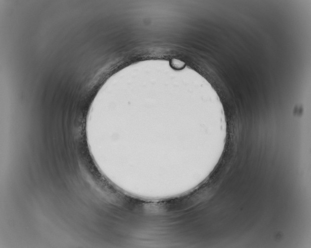 X0000114000216200911131148