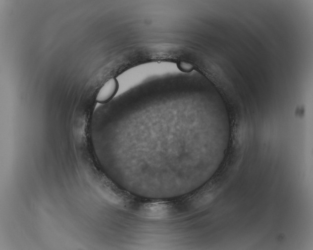 X0000114000219200911131148